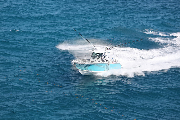BLACKFIN27.12
