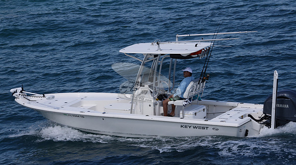 FL0364TD.817