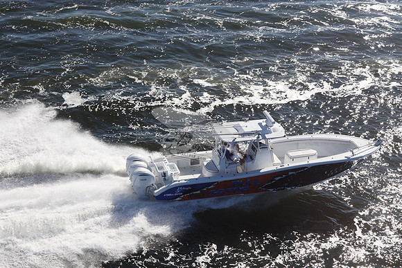 BULL GATOR.YELLOWFIN.1