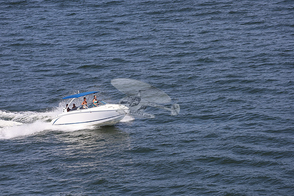 cobalt.bowrider.white blue.04