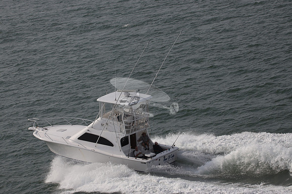 BARE OL CUDA.INDIAN RIVER DE.LUHRS.02