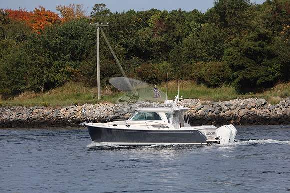beech bound.manchester by the sea.4526
