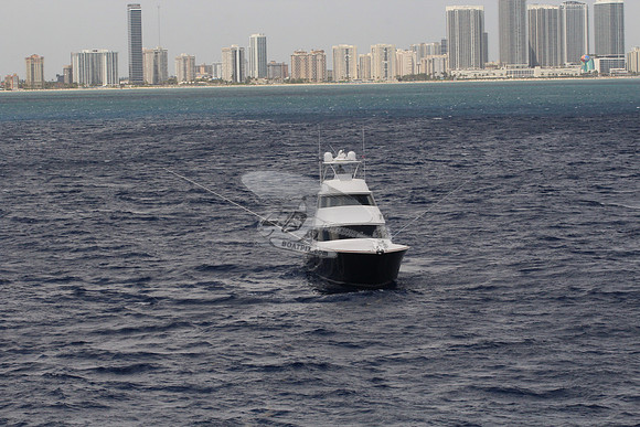 ---ake.double decker black hull viking.1541