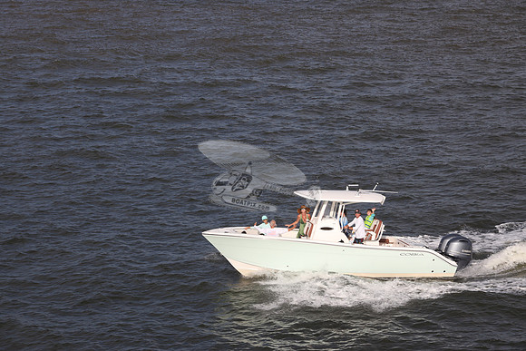 COBIA.LT BLUE HULL.339
