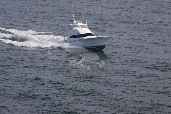 ABSOLUT PLEASURE.OCEAN CITY MD.14