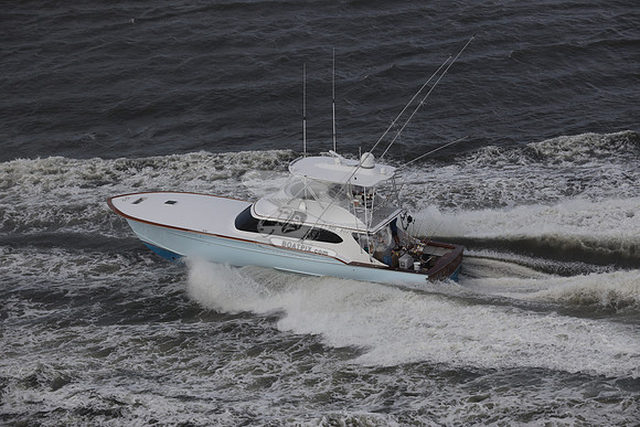 blue bill.wrightsville beach.3653