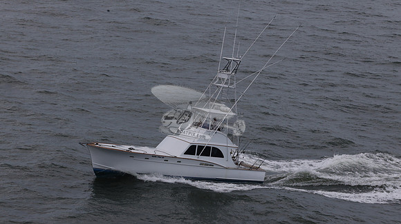 ballie who iii.islamorada fl.9504