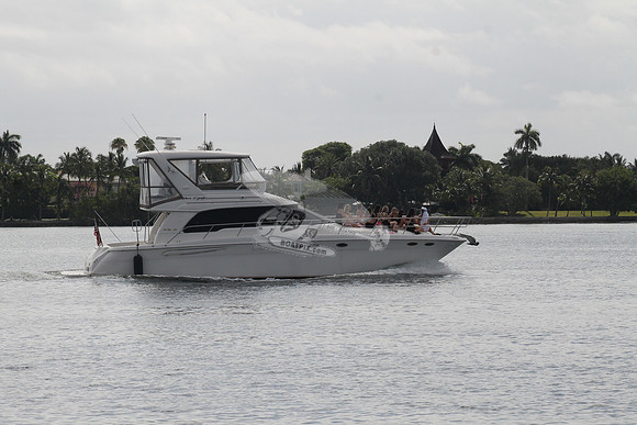 FL5355RR.DIAMOND D.2