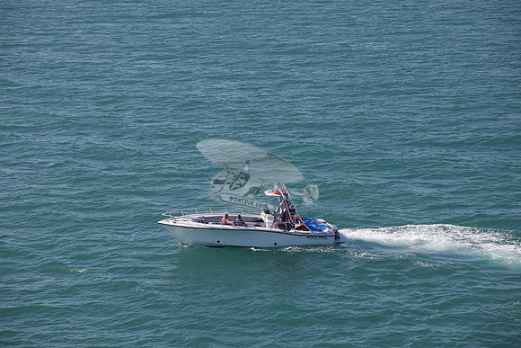 conch flyer.8271