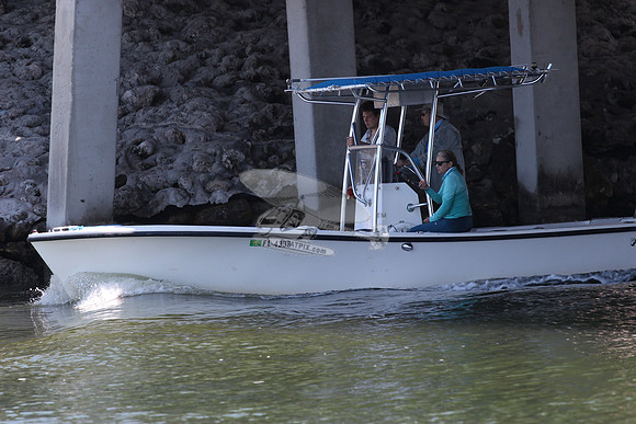 fl4339.privateer.0356