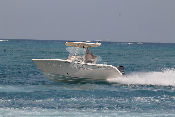 FL0424RJ.451