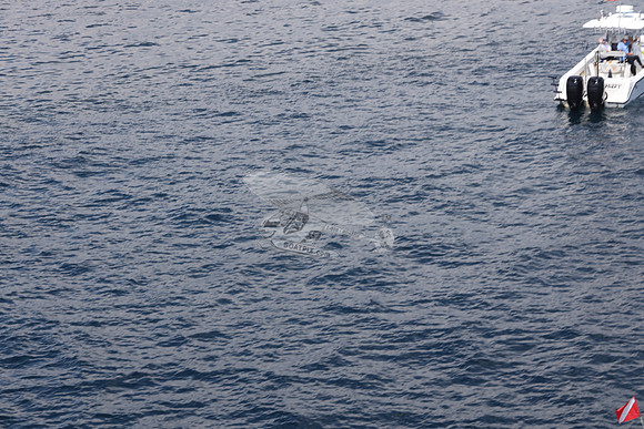 Chiefy.deerfield.sea vee.01