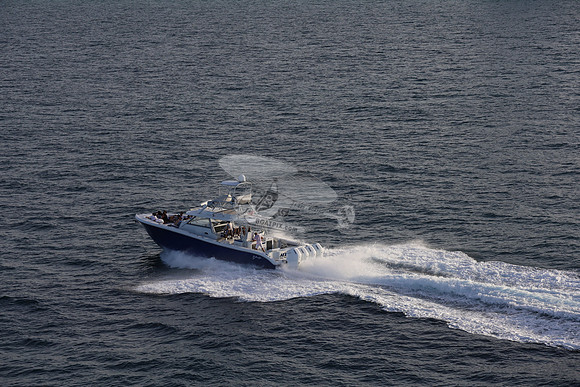 alegrias.bay harb.yellowfin.01