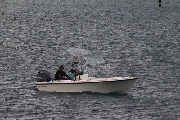 FL7102GM.02