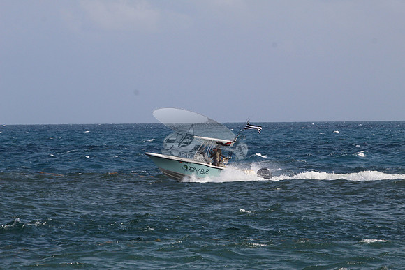 fl1368rs.full of bull.1729