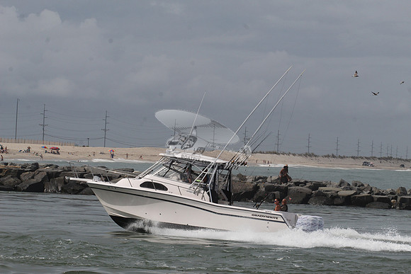 dl8.grady white.4501