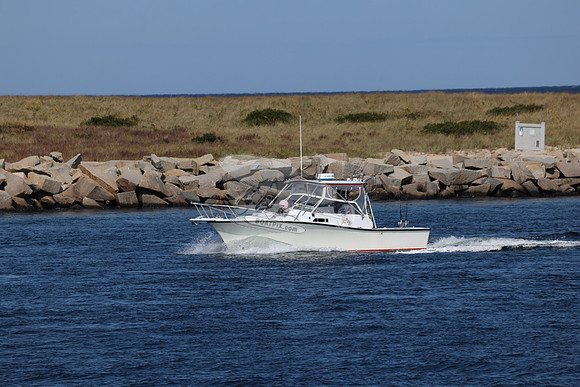 ms99909bn.07