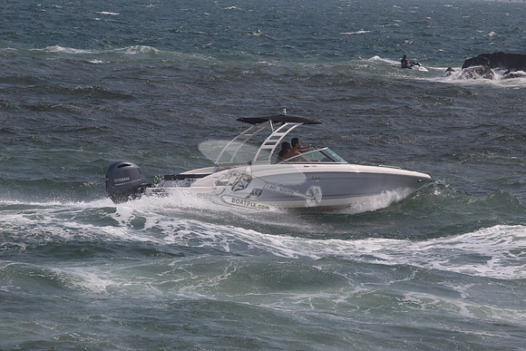 CHAPARRAL.GRAY W BLACK TOP.09