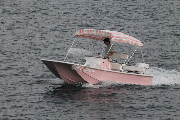 FL1555FU.06