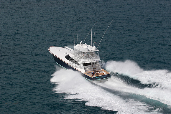 fins up.5873