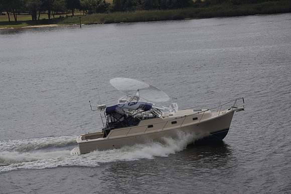 DIAMONDBACK.KENT ISLAND MD.7