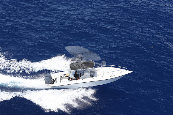 FL6290LB.17