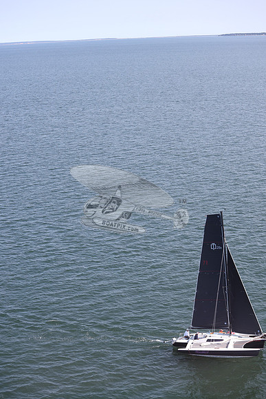 71.BLACKBIRD.MS3498A.54