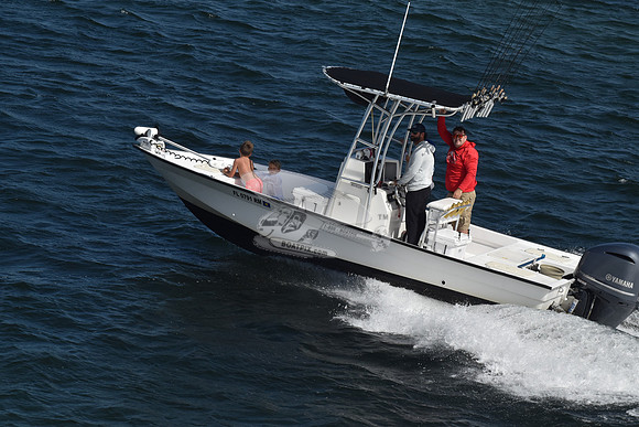 FL0791RM.412