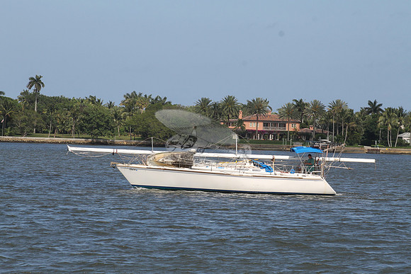 CL5587AN.11
