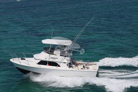 linda d v.5966