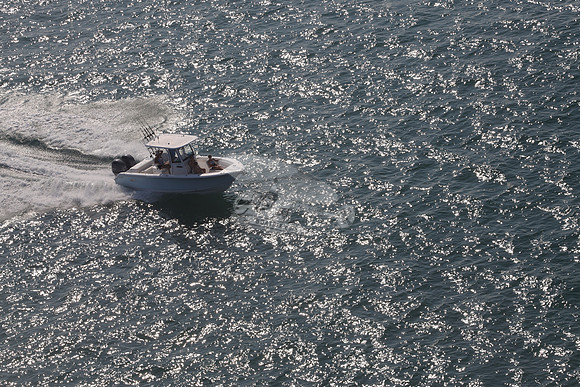 SEA HUNT.GAME FISH 25.7483