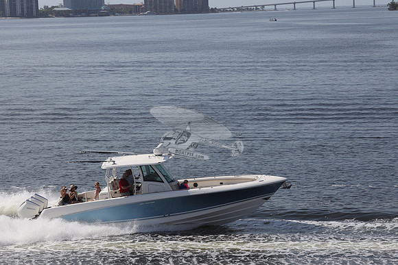 dilly dilly.boston whaler.12