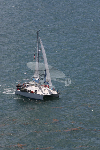 58.PDQ36.15
