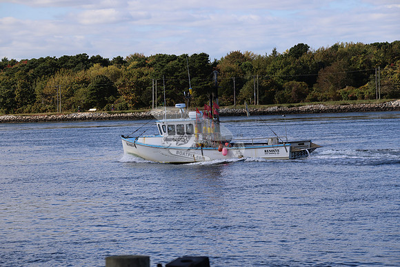 resolve.east sandwich.3