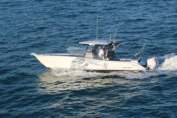 cape horn.2 racing 450.4783