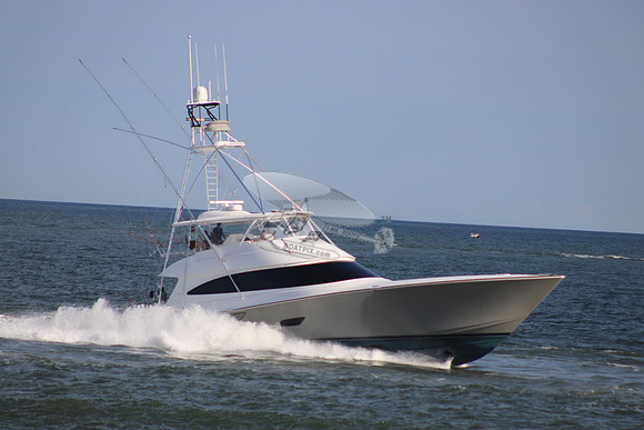 BAILEYS ARK.VIKING.1