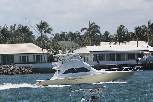 Bandido.north palm beach.viking.2