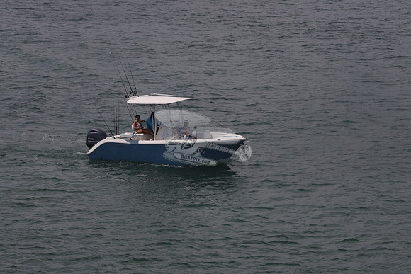 cobia.one yamaha.14