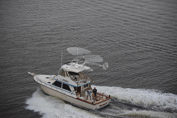 915841.WILD ROVER III.1215
