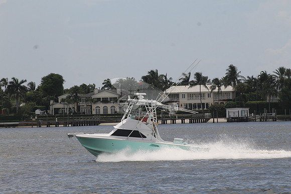 Bertram 28 green.07
