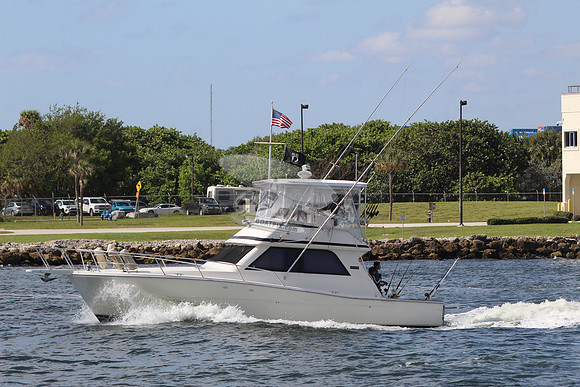 COURT SHIP.POMPANO FL.VIKING.1
