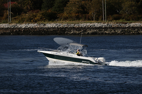ms4316br.08