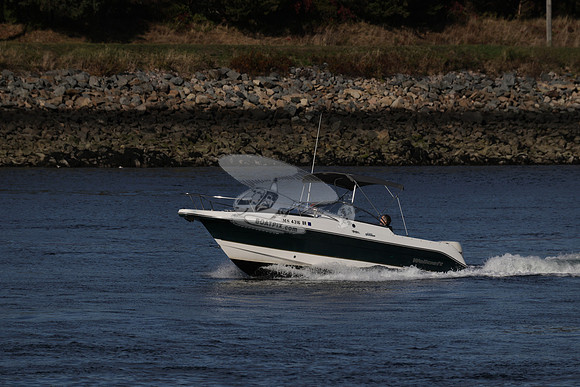 ms4316br.03
