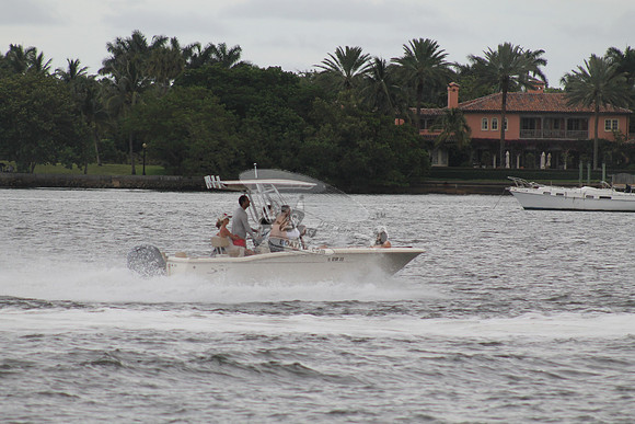 FL0786SX.806