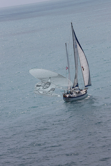 23.sea eagle.islamorada fl.3081