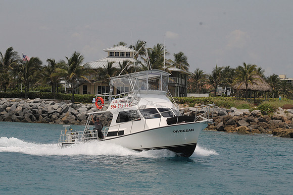 DIVOCEAN.JUPITER FL.45