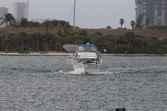 ANATINI.ST LUCIE FL.03