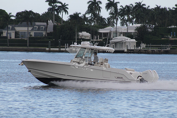 BOSTON WHALER.10