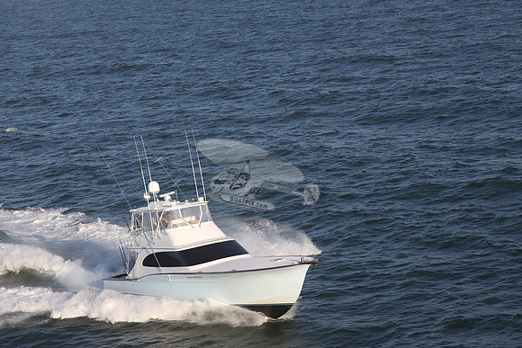 blue runner.manasquan nj.9307