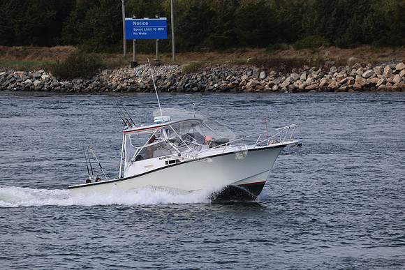 ms99909bn.01